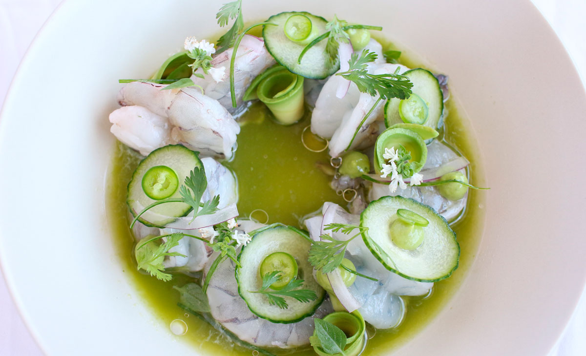 A white bowl of  shrimp marinated in green lime juice, with cucumber, cilantro, bell pepper, onion.